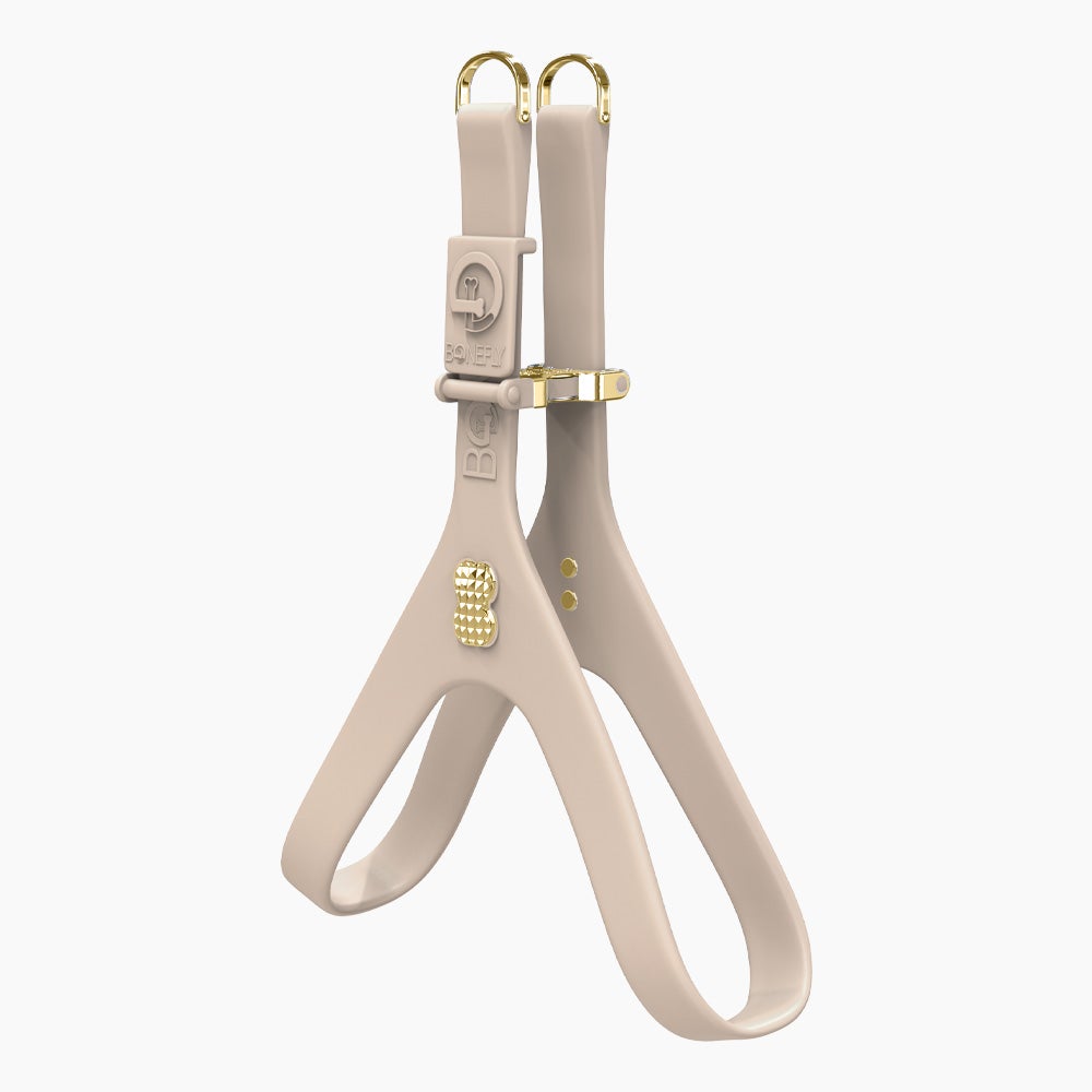 Boneflex Signature Spike Gold Harness