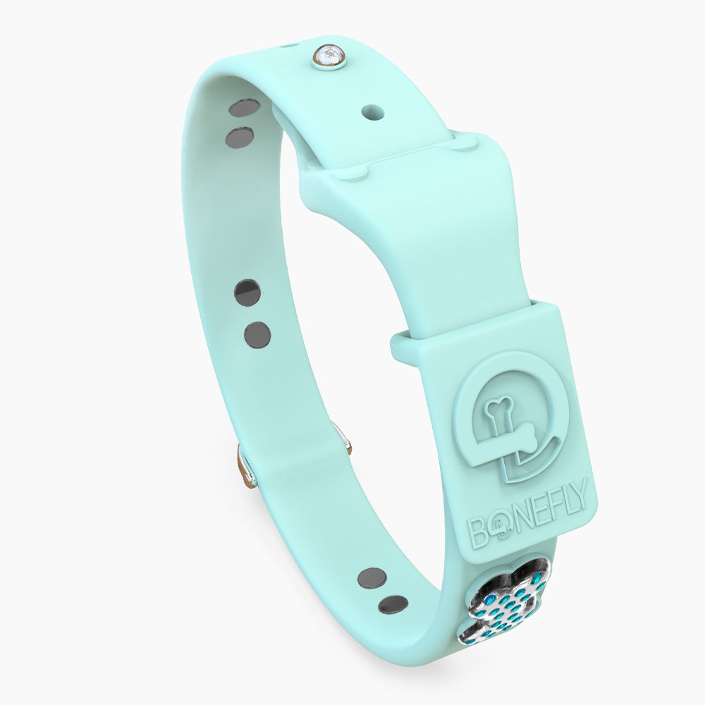 Boneflex Ultra Mint Collar