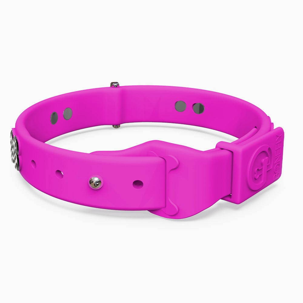 Boneflex+ Ultra Hot Pink Collar