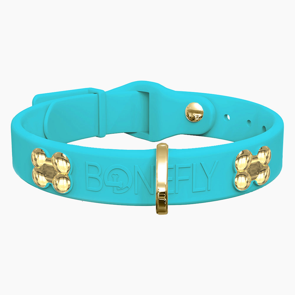 Boneflex+ Signature Gold Bones Collar