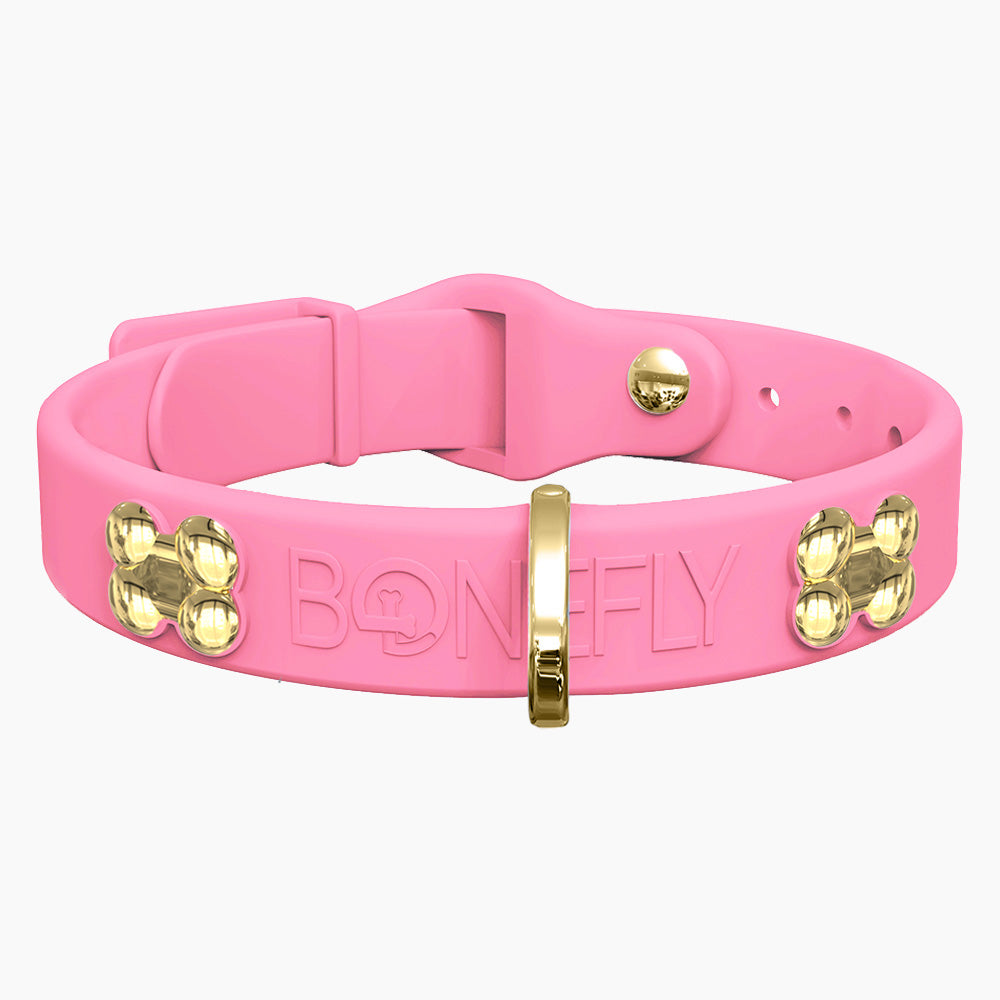 Boneflex+ Signature Gold Bones Collar