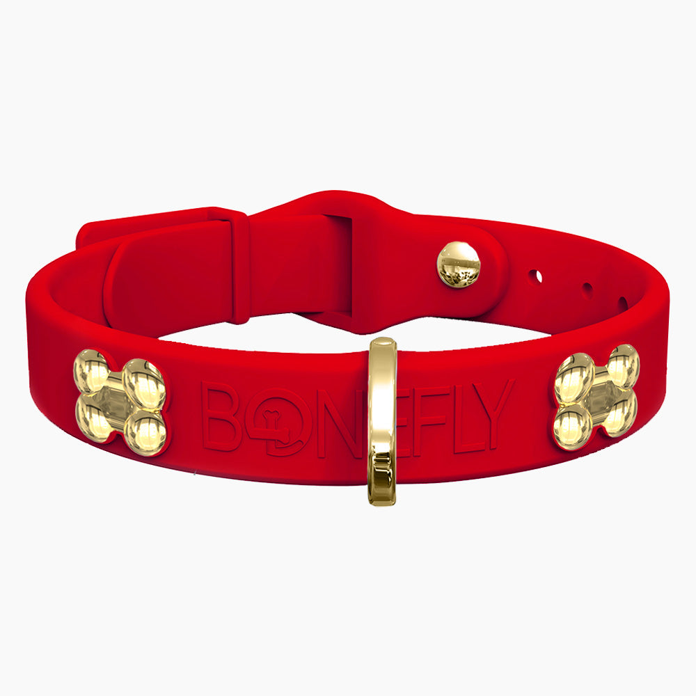 Boneflex+ Signature Gold Bones Collar