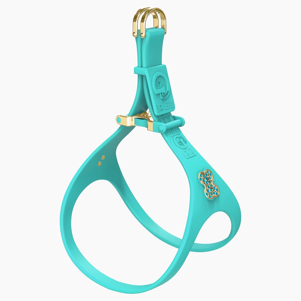 Boneflex Ultra Teal Harness