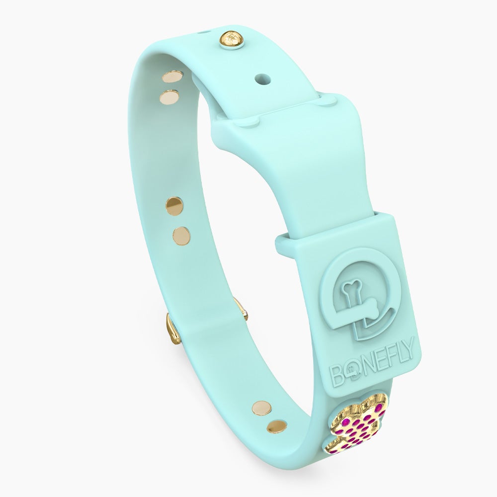 Boneflex Ultra Mint Collar