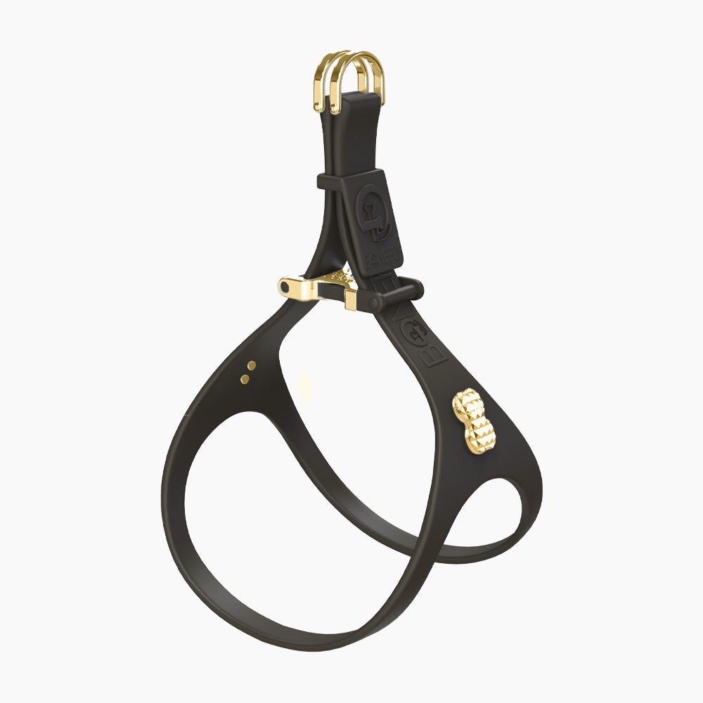 Boneflex Signature Spike Gold Harness