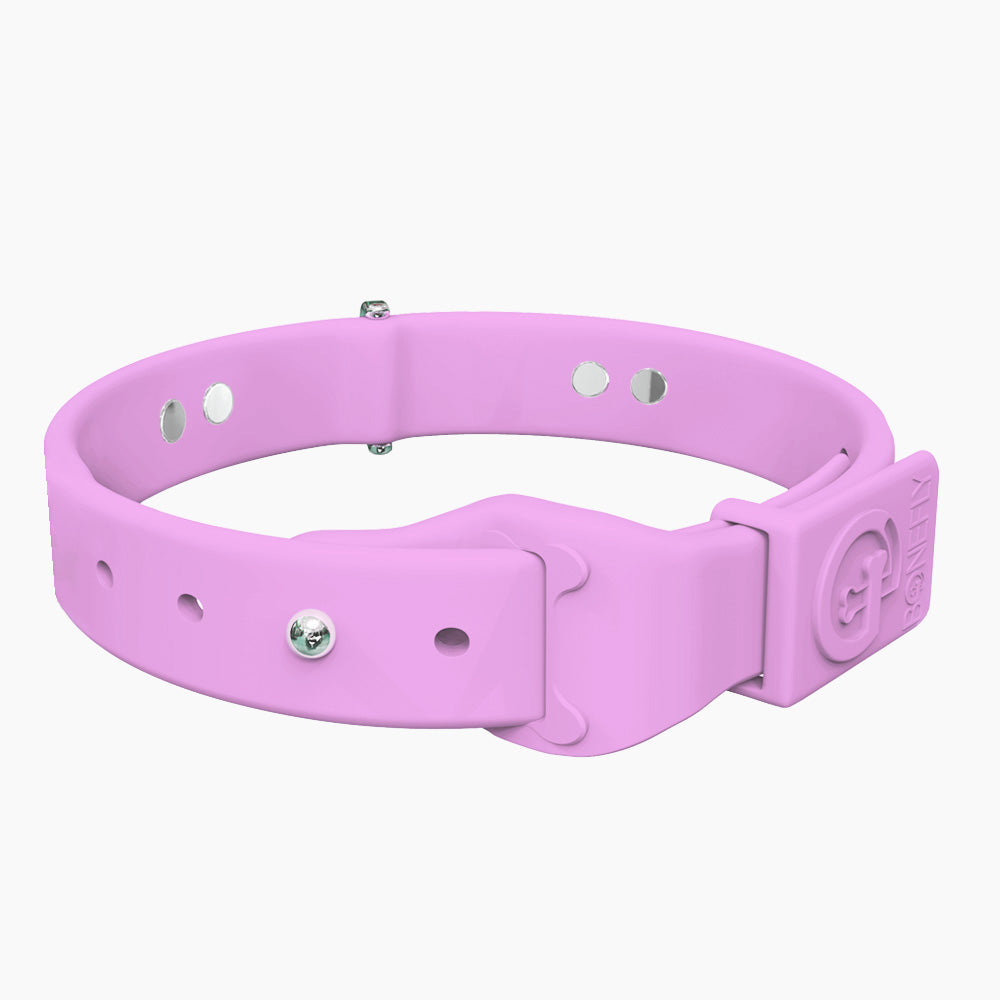 Boneflex+ Signature Silver Bones Collar