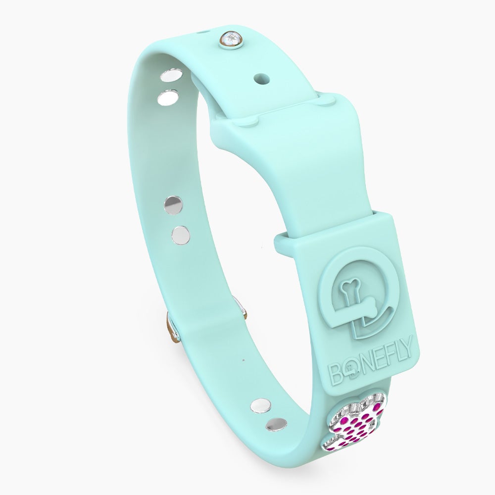 Boneflex Ultra Mint Collar