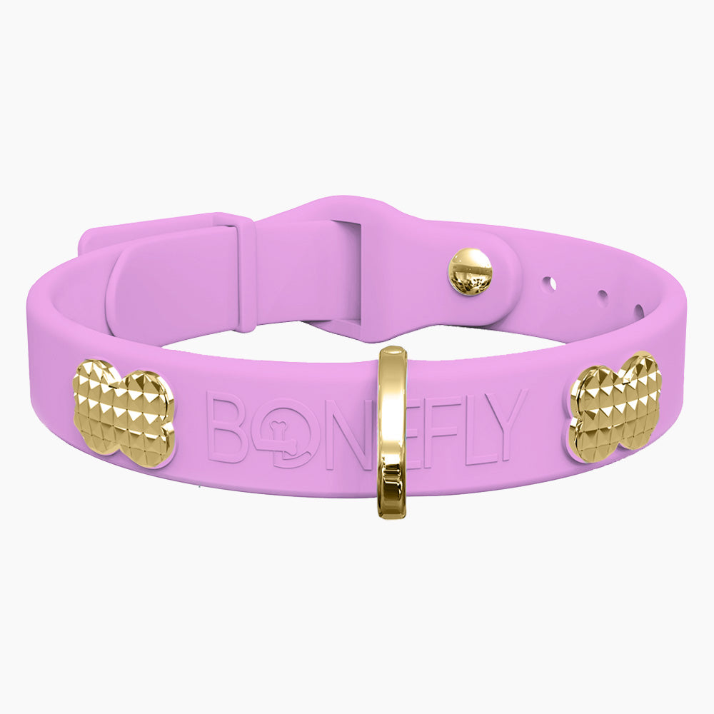 Boneflex+ Signature Spike Gold Collar