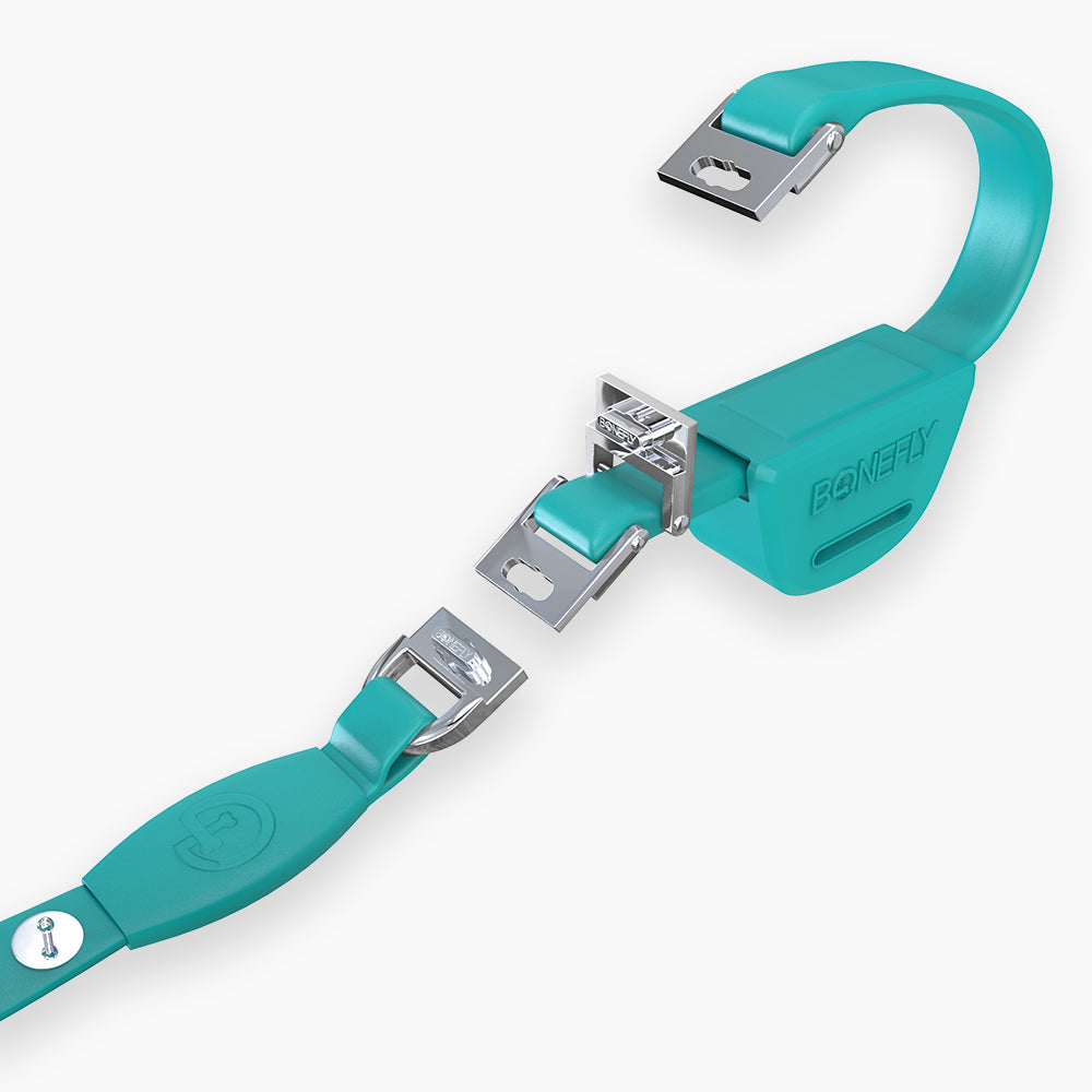 Flexfly 360 Ultra Teal Leash