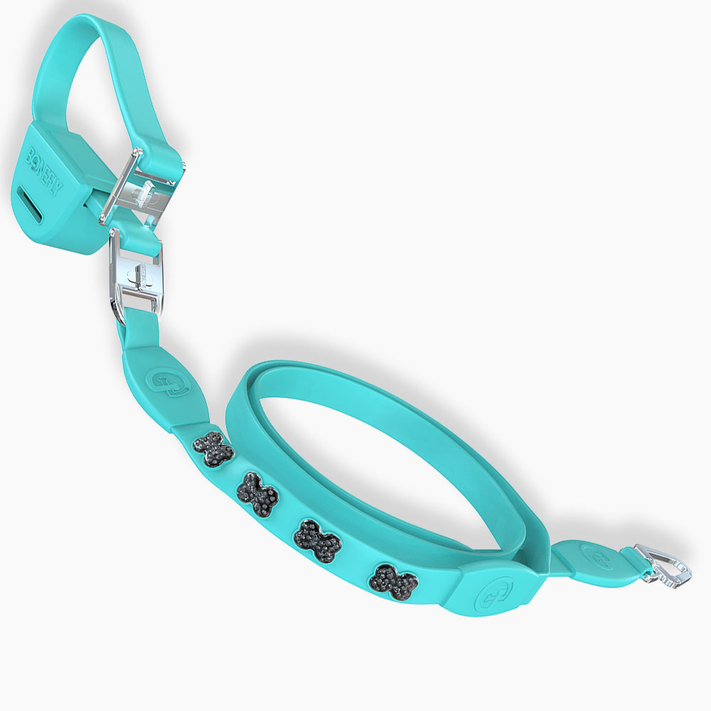 Flexfly 360 Ultra Teal Leash